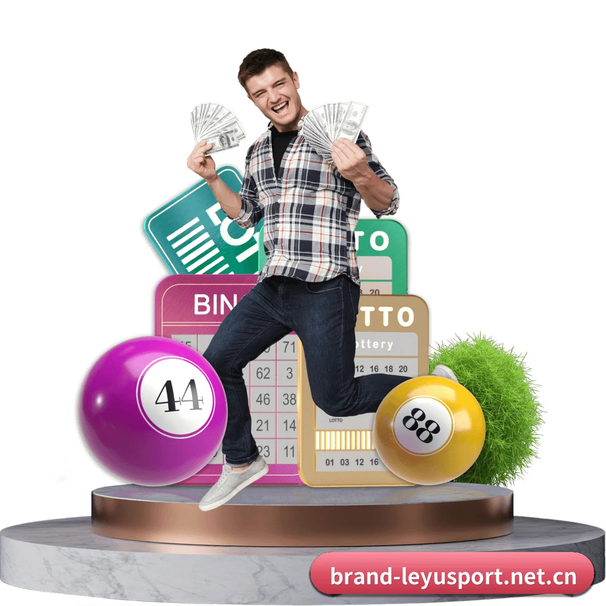 乐鱼网址 APP 界面
