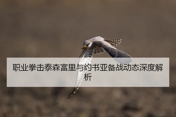 职业拳击泰森富里与约书亚备战动态深度解析